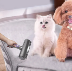 Hand rolling a pet hair remover over a grey couch beside a cat and poodle